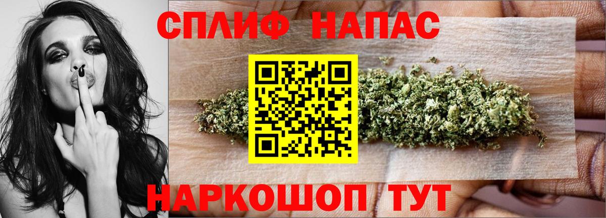 Каннабис планчик Нягань
